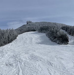 Meet your Posher, Toby